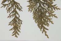 臺灣扁柏藏品圖，第4張