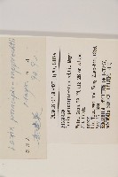 華北落葉松藏品圖，第2張