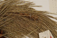 油松藏品圖，第4張