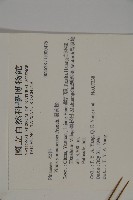 雲南松藏品圖，第2張