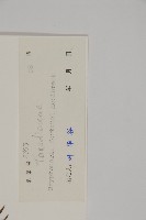 柳杉藏品圖，第2張