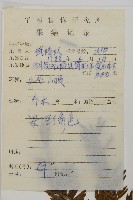 篦子三尖杉藏品圖，第2張