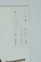 銀杏藏品圖，第2張