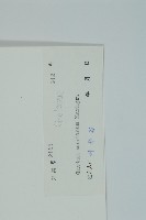 買麻藤藏品圖，第2張