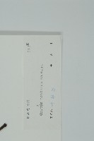 買麻藤藏品圖，第2張