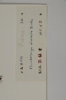 黃杉藏品圖，第2張