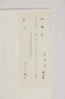 側柏藏品圖，第2張