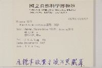臺灣二葉松藏品圖，第2張