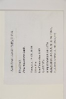 馬尾松藏品圖，第2張