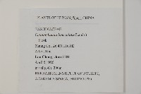 杉木藏品圖，第2張