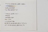 柏木、柏樹藏品圖，第2張