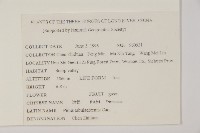 油松藏品圖，第2張