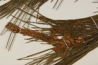 油松藏品圖，第4張