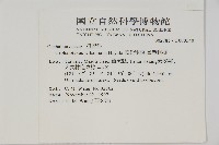 臺灣粗榧、台灣三尖杉藏品圖，第2張