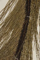 馬尾松藏品圖，第4張
