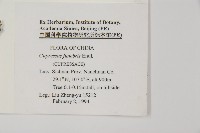 柏木、柏樹藏品圖，第2張