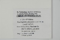 杉木藏品圖，第2張