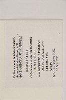 側柏藏品圖，第2張