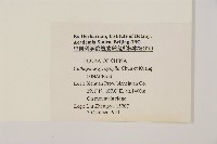 銀杉藏品圖，第2張