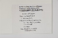 柏木、柏樹藏品圖，第2張