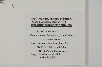 杉木藏品圖，第2張
