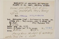 登錄號:G000557藏品圖，第2張