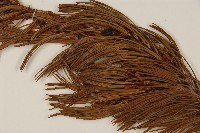 登錄號:G000557藏品圖，第4張