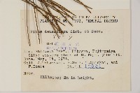 日本赤松藏品圖，第2張