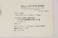 日本落葉松藏品圖，第2張