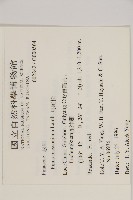 馬尾松藏品圖，第2張