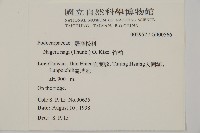 竹柏藏品圖，第2張