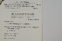 臺灣鐵杉藏品圖，第2張