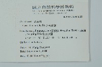 光果蘇鐵藏品圖，第2張