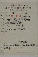 柳杉藏品圖，第2張