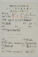 大葉羅漢松藏品圖，第2張