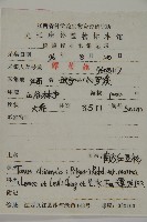 南方紅豆杉藏品圖，第2張