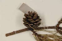 油松藏品圖，第3張