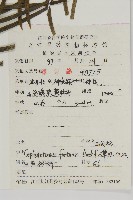 三尖杉藏品圖，第2張