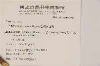 臺灣五葉松藏品圖，第2張