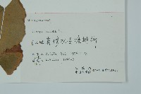 銀杏藏品圖，第2張