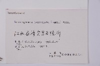 杉木藏品圖，第2張