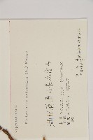 側柏藏品圖，第2張