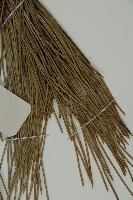 黑松藏品圖，第6張