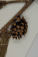 黑松藏品圖，第3張