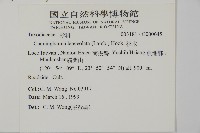 杉木藏品圖，第2張