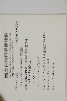 雲南松藏品圖，第2張