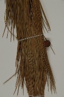 雲南松藏品圖，第3張