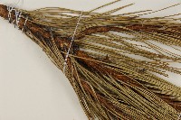 高山松藏品圖，第4張