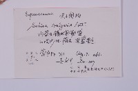 叉子園柏藏品圖，第2張