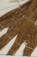 馬尾松藏品圖，第3張